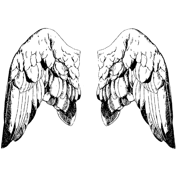 Wings & Body Parts