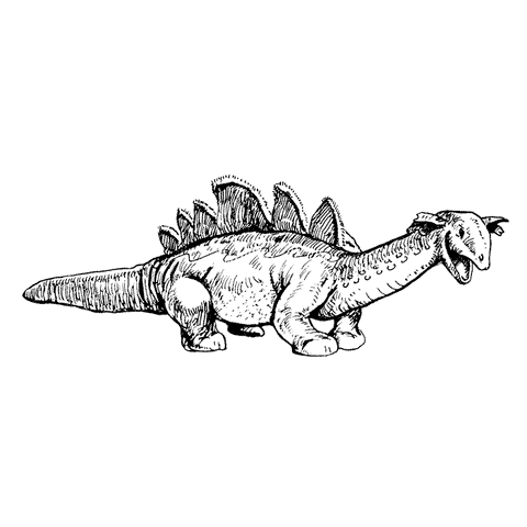 Dinosaur Baby 1775I