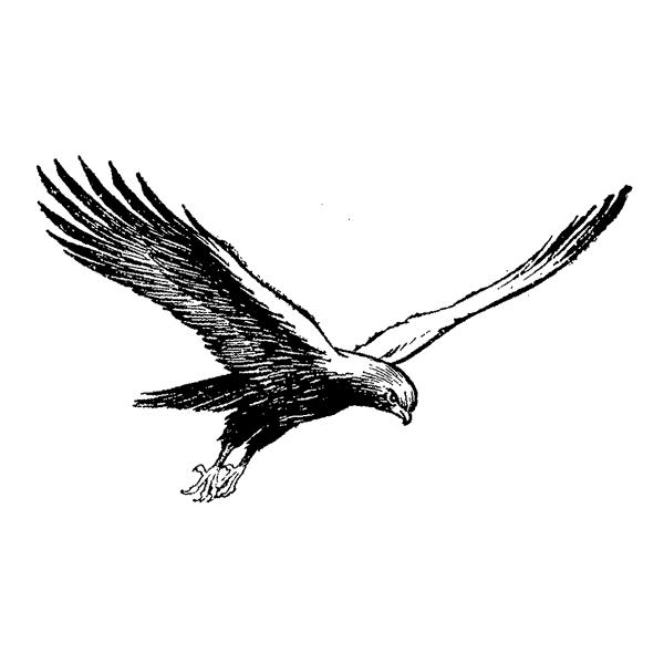 Eagle 192F