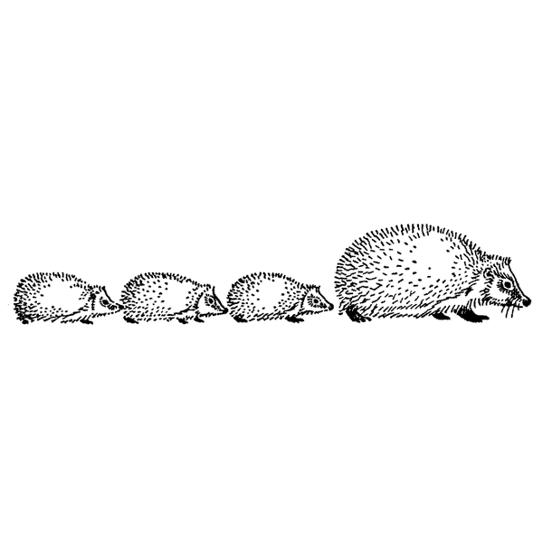 Hedgehog with Babies 1656E