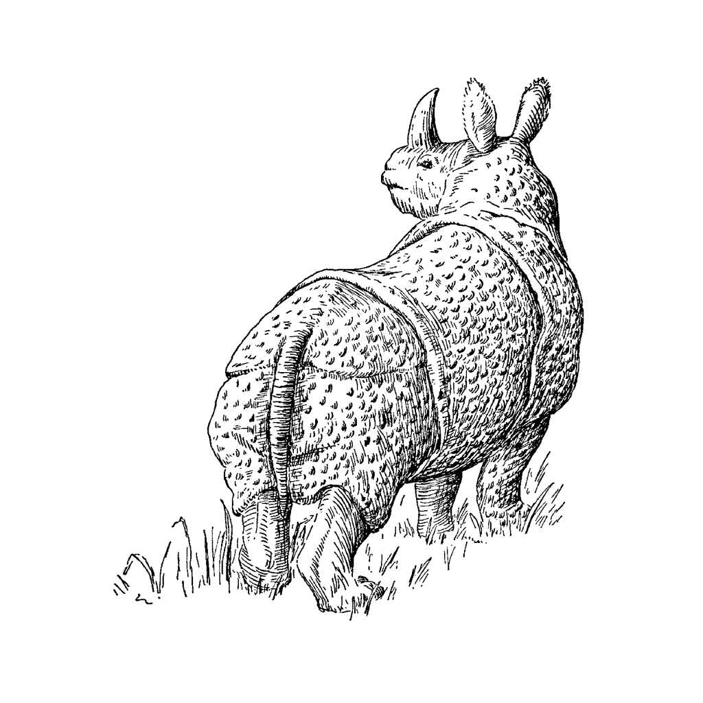 Rhino 881H