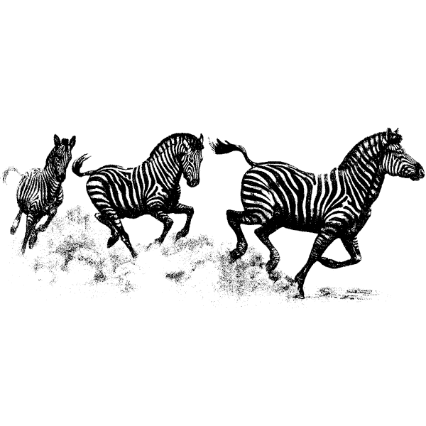 Running Zebras Large 1148O