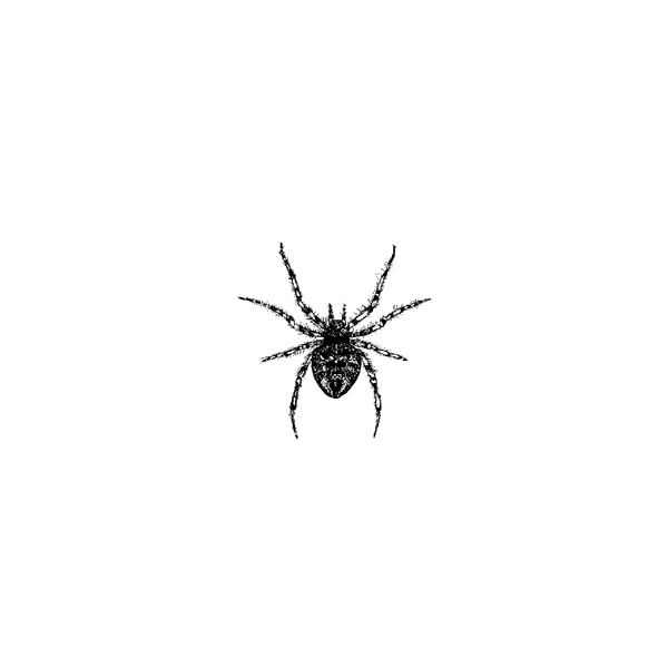Small Spider 1002A