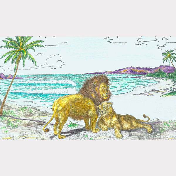 Lion Beach