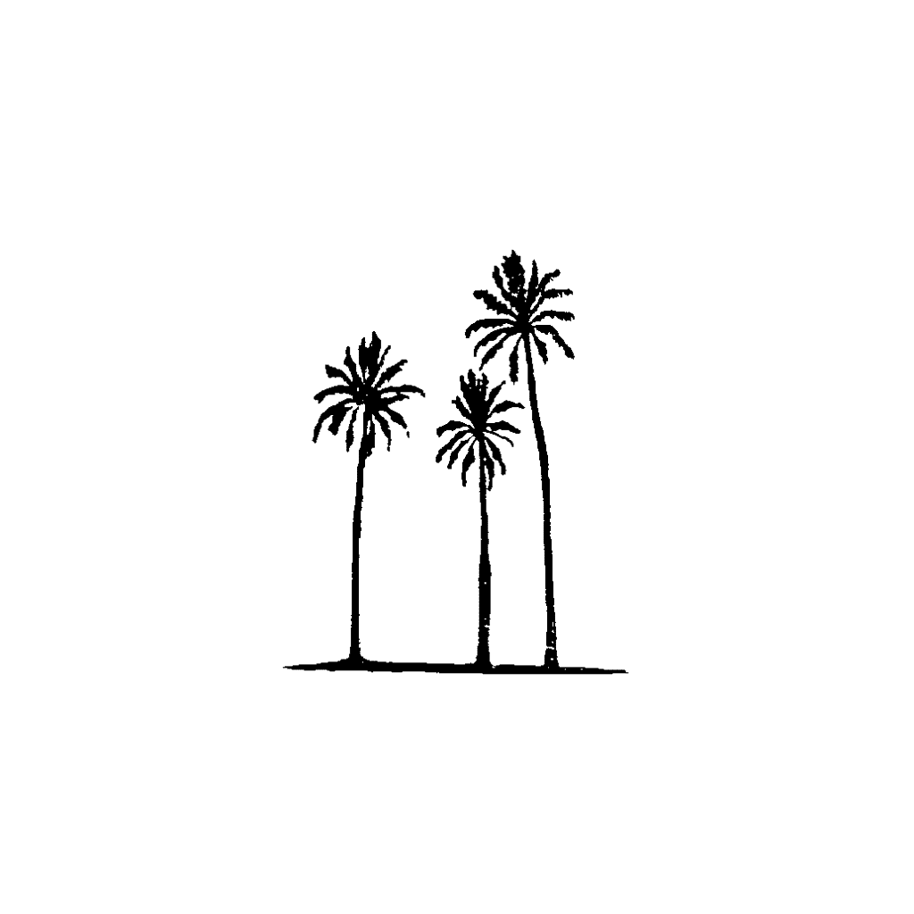 Three palm trees in the distance