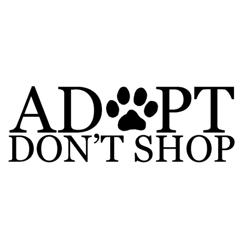 Adopt Don't Shop 1597F