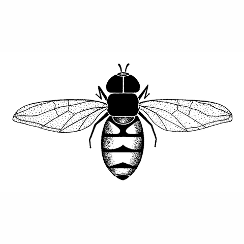 Art Deco Bee 1735J