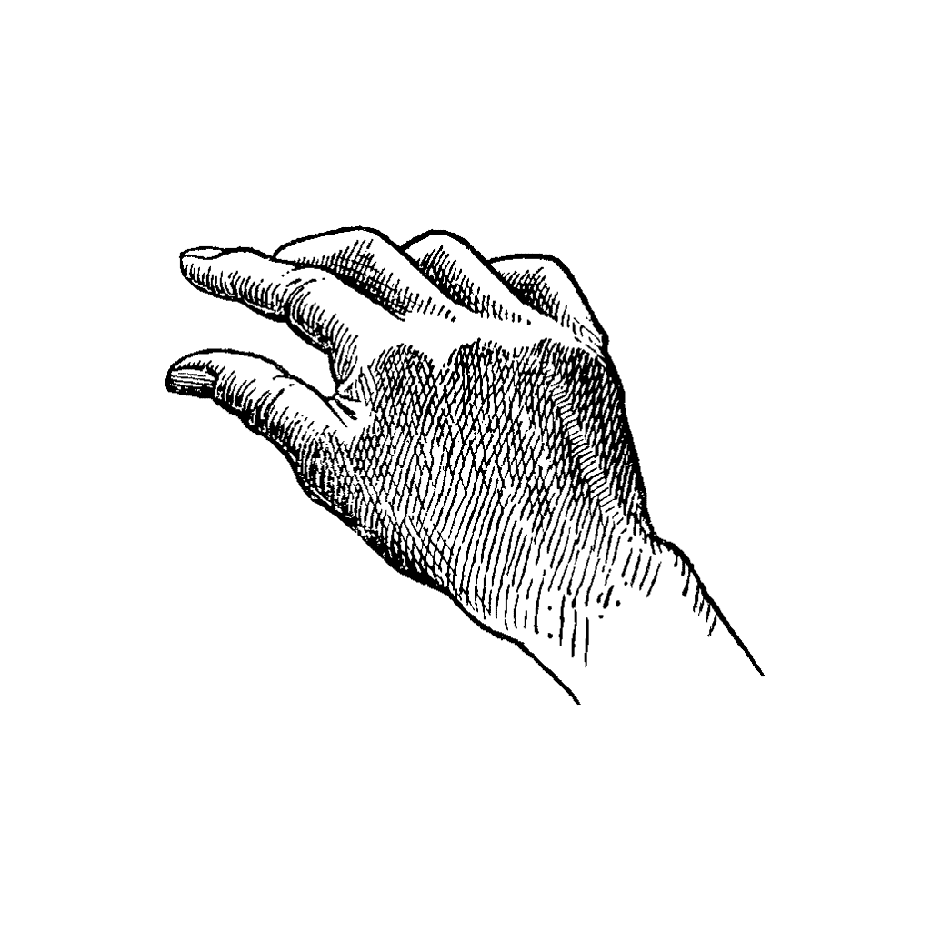 Back Hand 206D