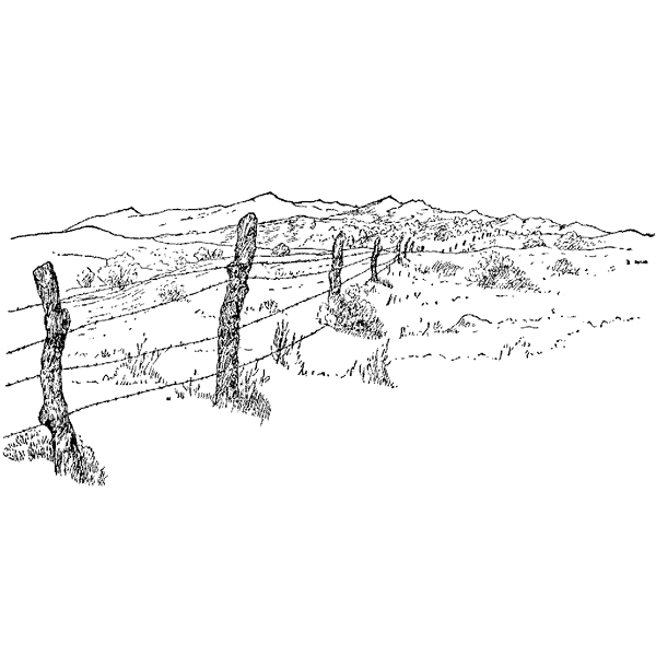 Barbwire Fence 234J