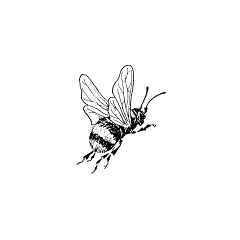 Big Bumble Bee 1322D