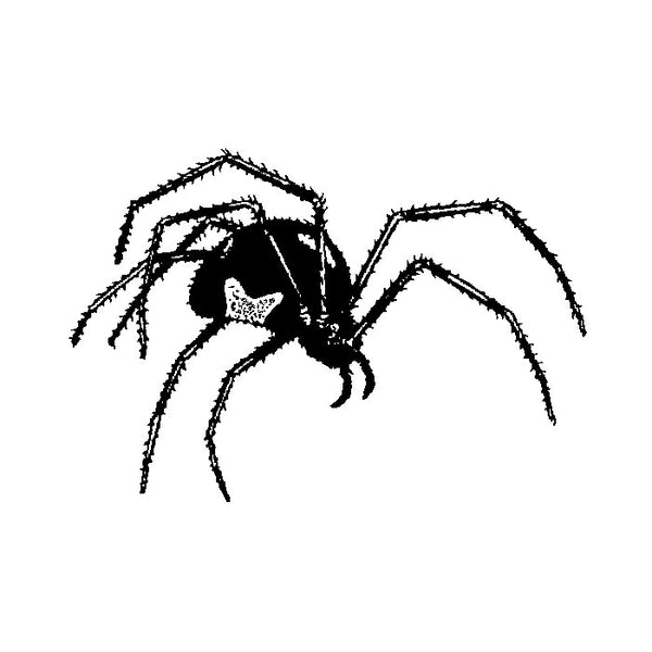 Black Widow Spider 1709D