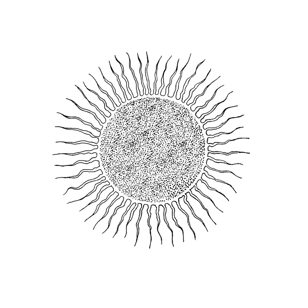 Blazing Sun 1026F