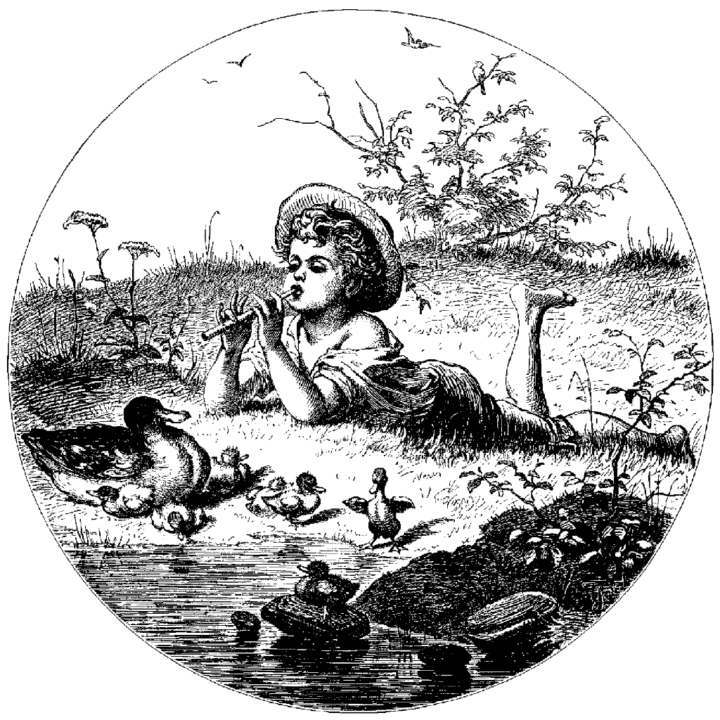 Boy with Ducks 495N