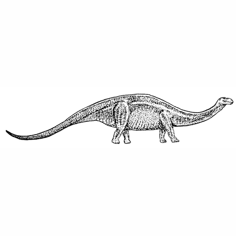 Brontosaurus 1639J