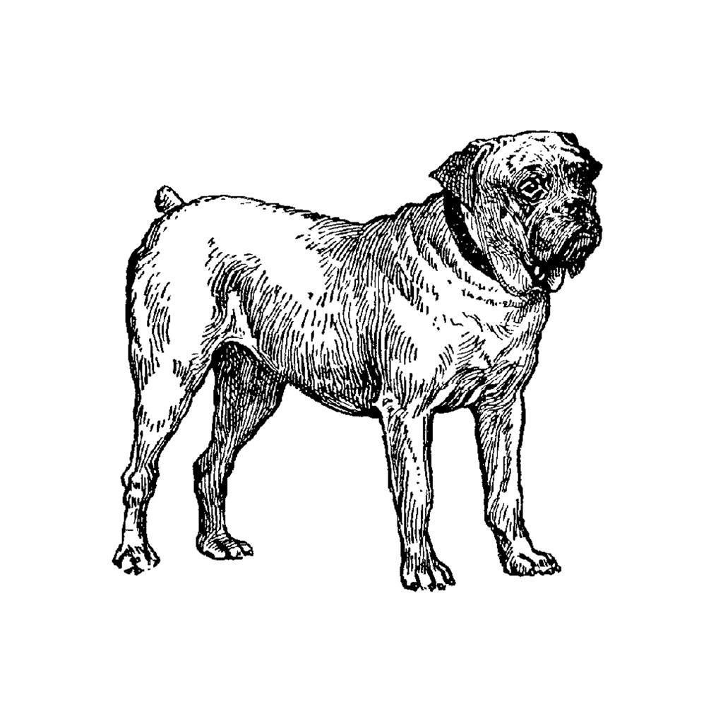 Bulldog 252F