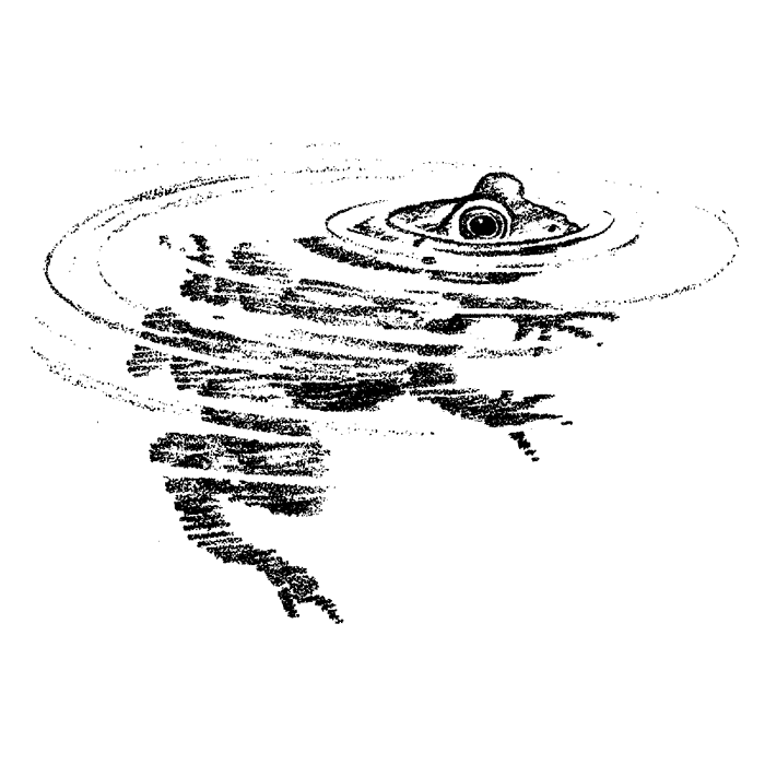 Bullfrog in Water 1654G