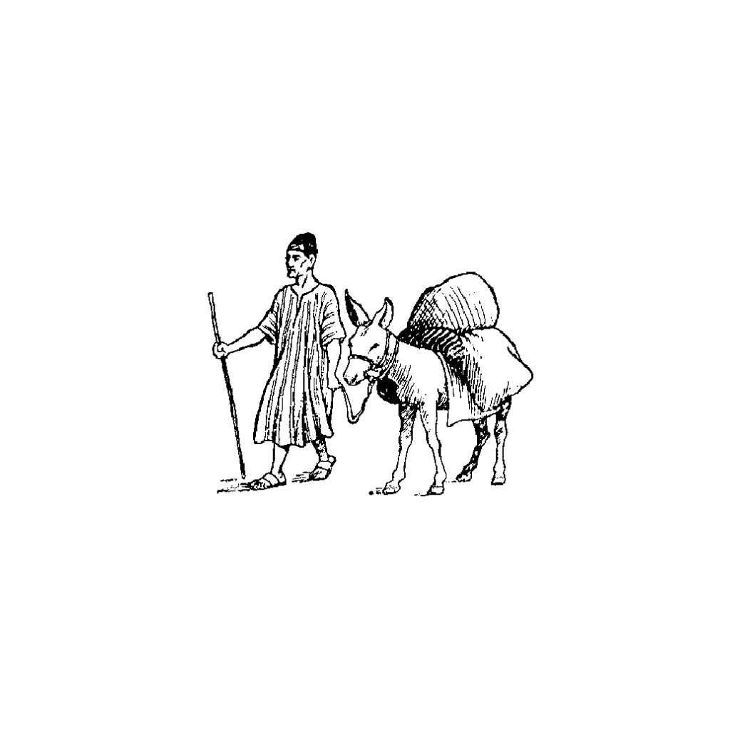 Burro Man 447C