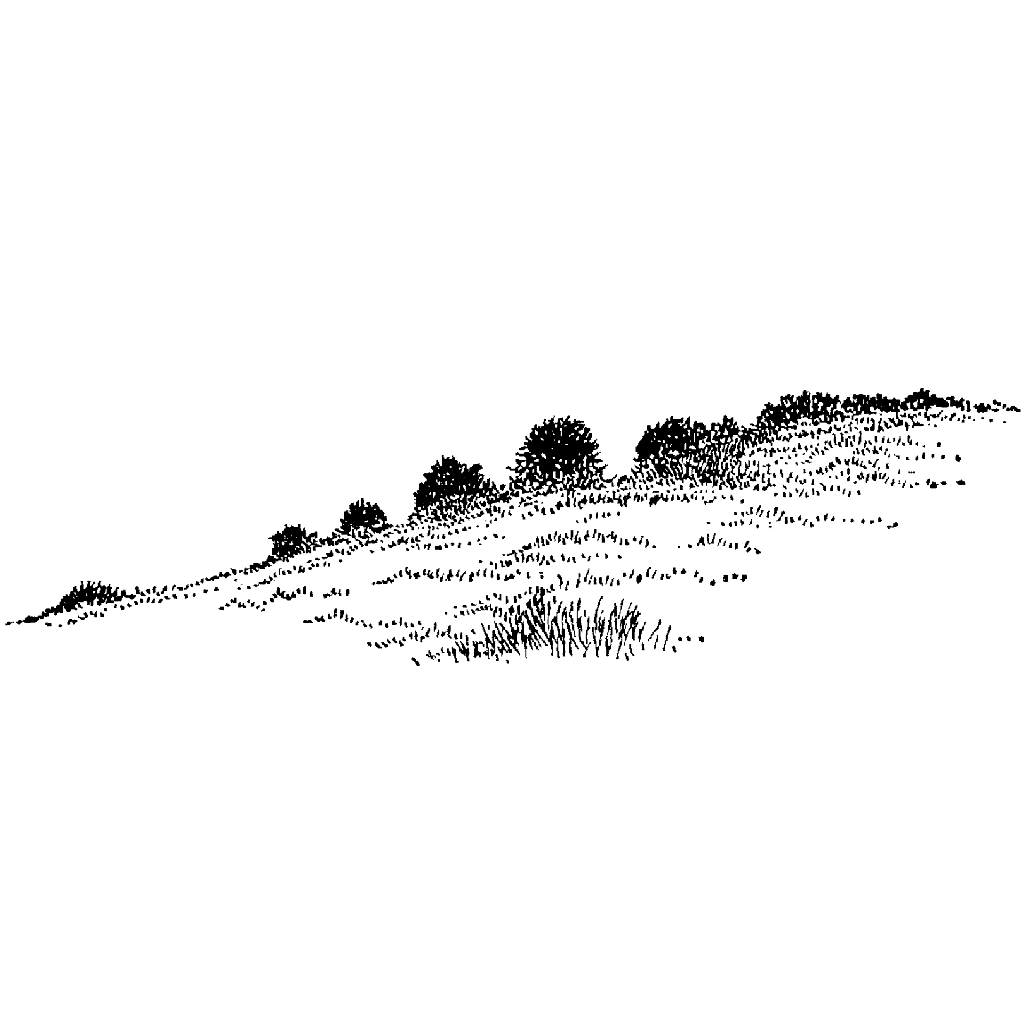 Bushy Hill 66H