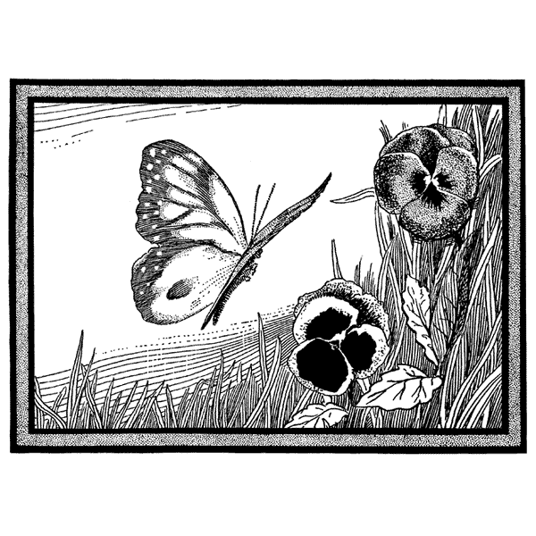 Butterfly & Pansies 657N