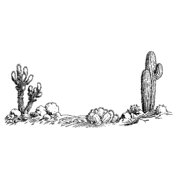 Cacti Scene 1703I