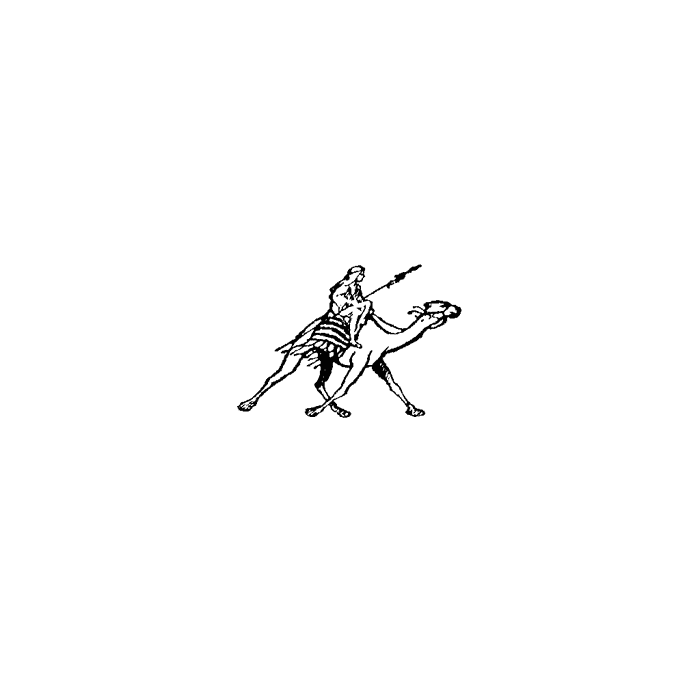 Camel Rider 445A