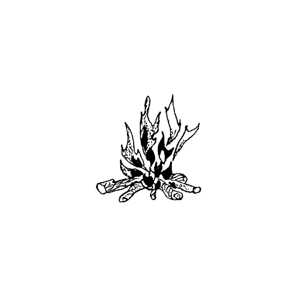 Campfire 806A