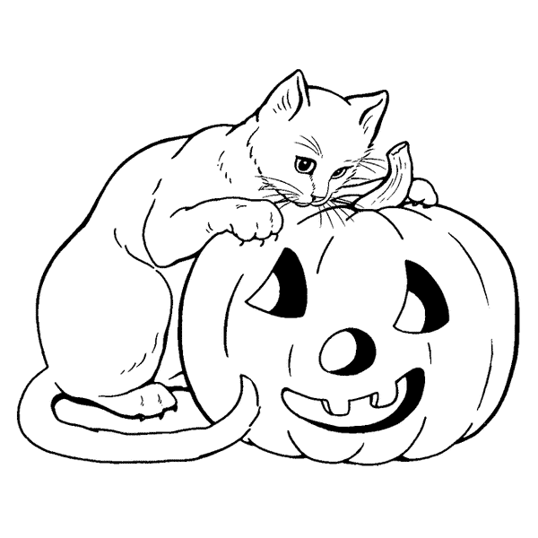 Cat with Jack-o-lantern 1575G