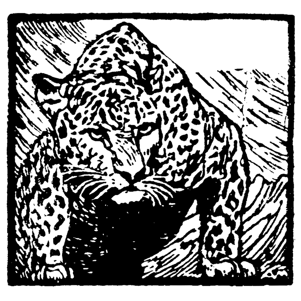 Cheetah 576I