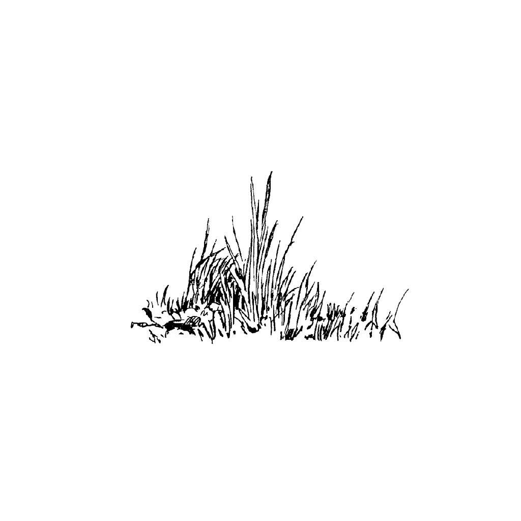 Clump of Grass 1032C