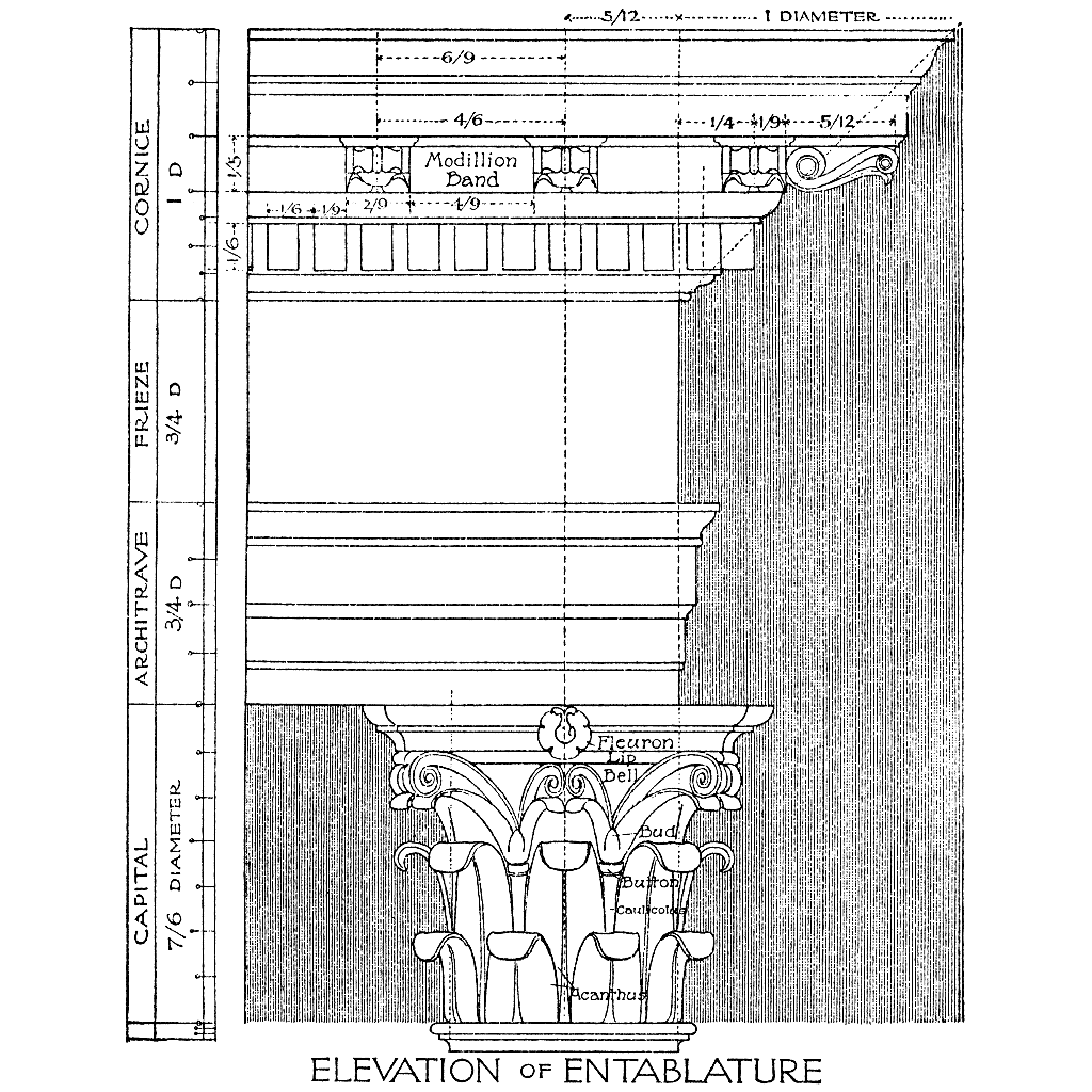 Column Anatomy 1168N
