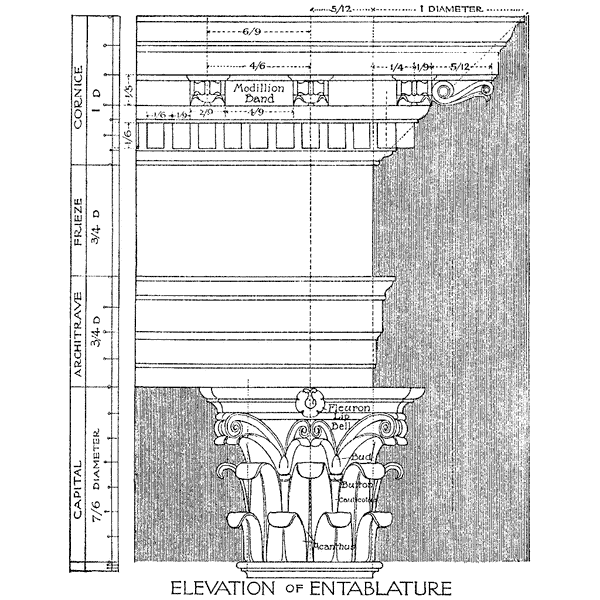 Column Anatomy 1168N