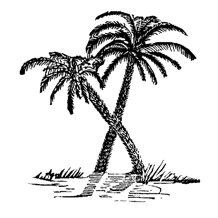 Crossed Palm Trees 1678D