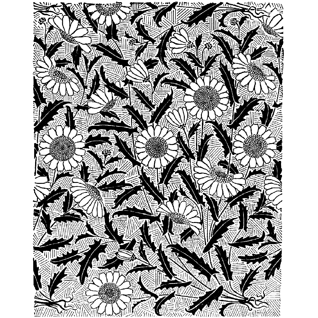 Daisy Background 1015N