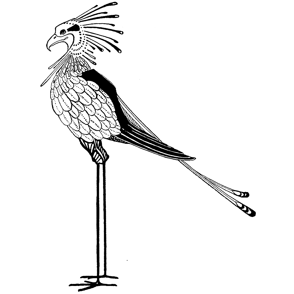Deco Bird 1154M