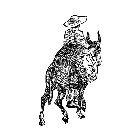 Donkey Rider 136E