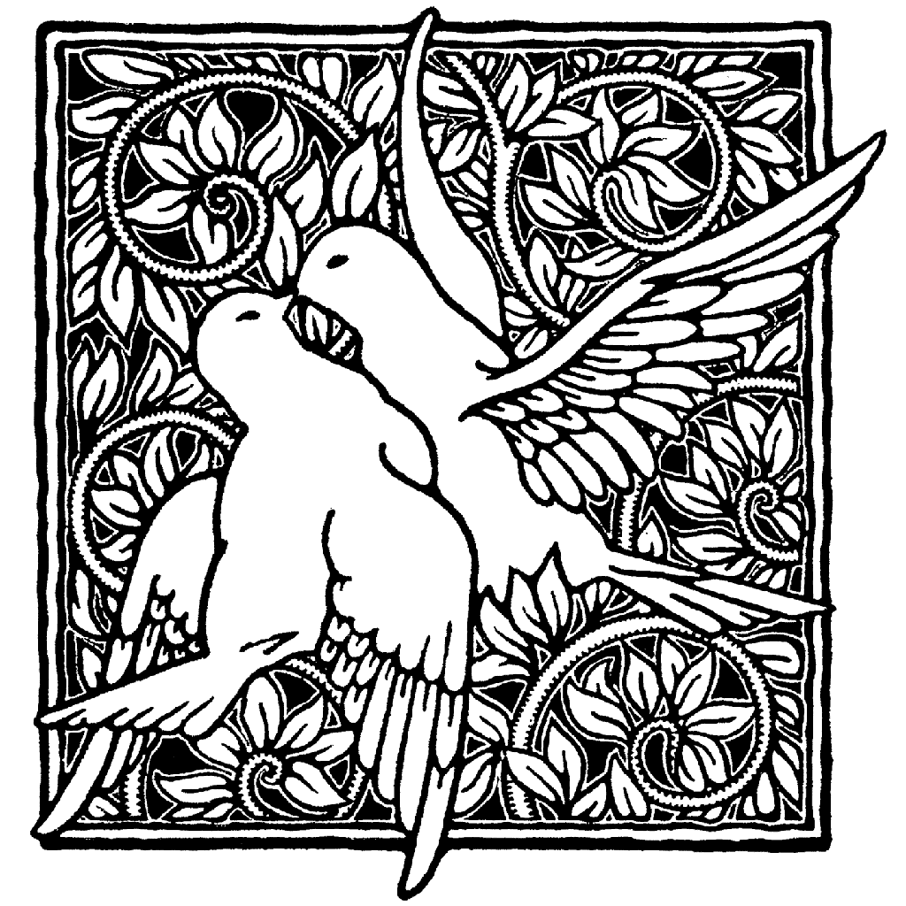 Doves 512M