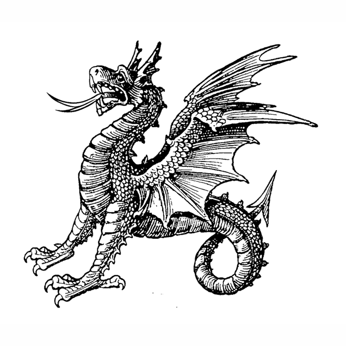 Dragon 1752I