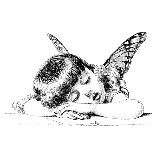 Dreaming of Butterflies 1388L