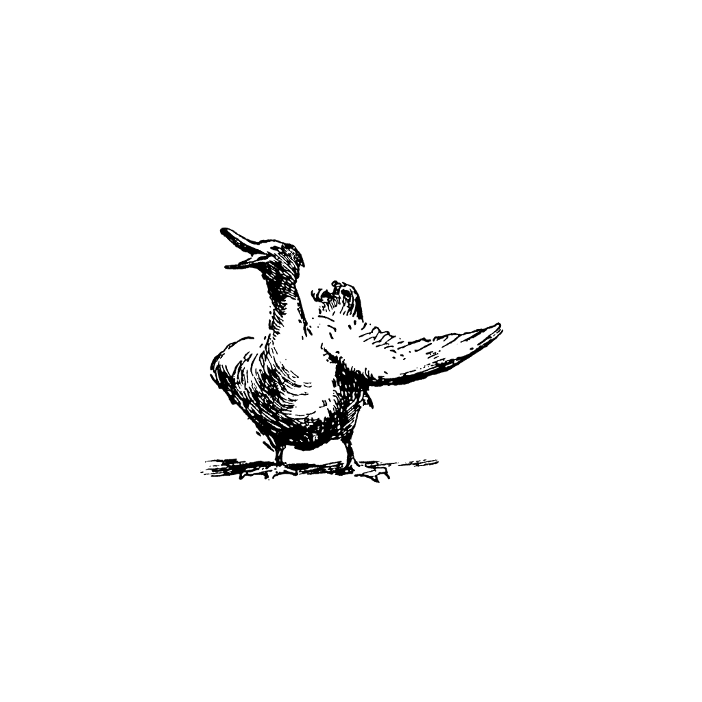 Duckie 1088C