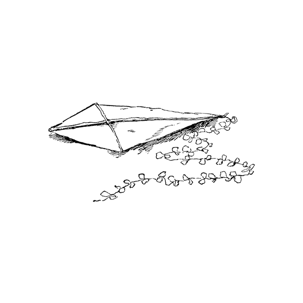 Fallen Kite 1422F