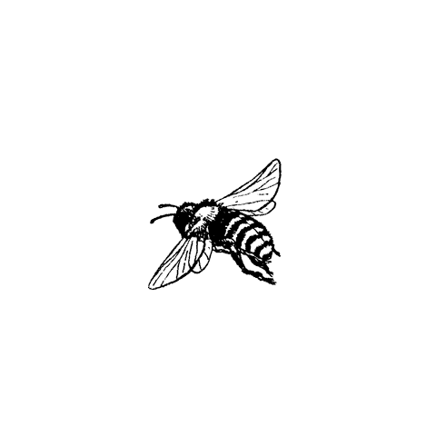 Flying Bee 170B
