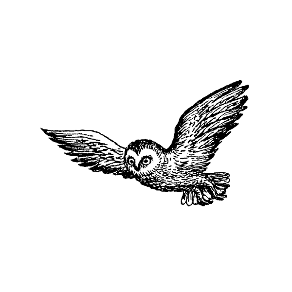 Flying Owl 191E