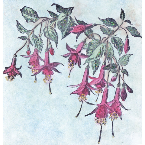 Fuchsias 1185P