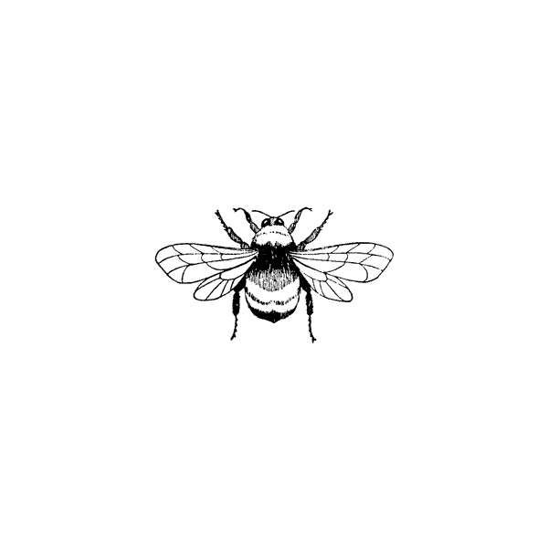 Full Bee 272B