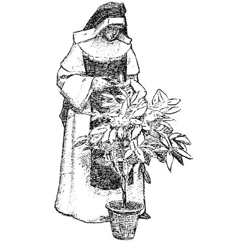 Gardening Nun 1291K