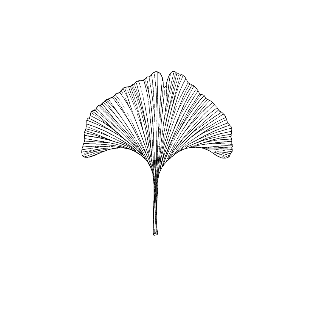 Ginkgo Leaf 872C