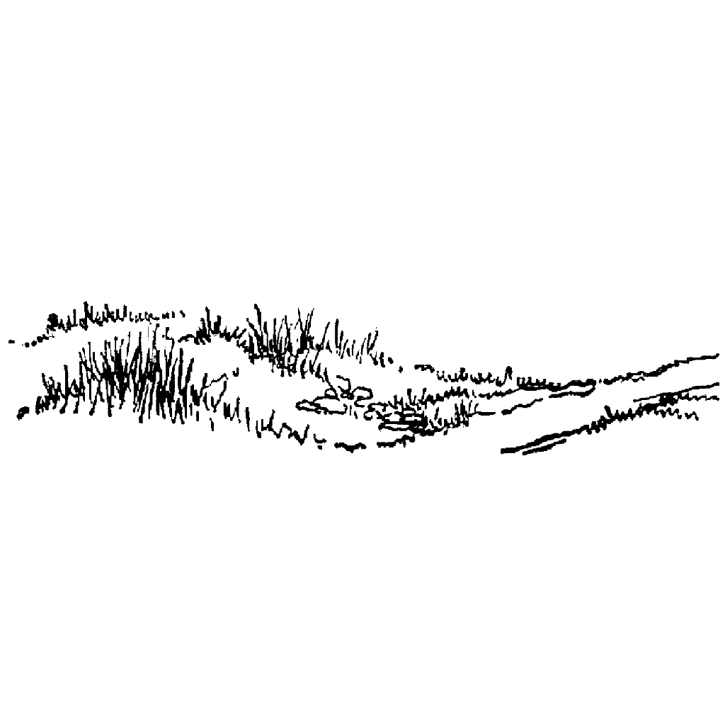 Grassy Bank 65H