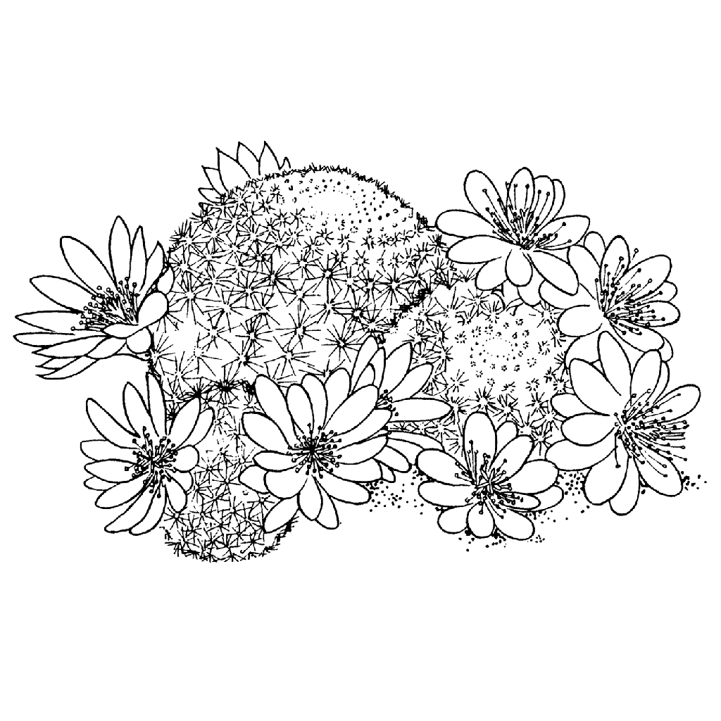 Ground Flowers 829G