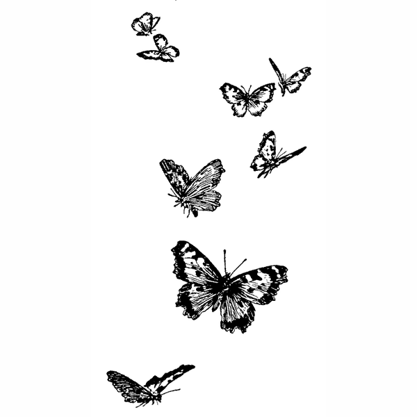 Group of Butterflies 1609F