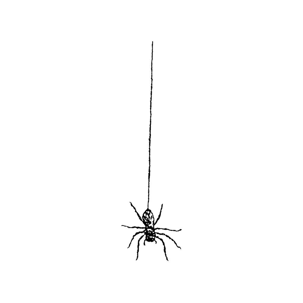 Hanging Spider 1289C